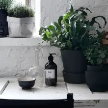 Hiilenharmaat piharuukut