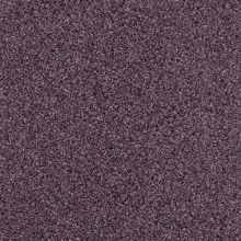 Purpurite