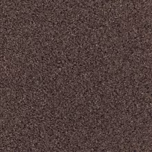 Bronzite