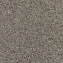 Meteorite