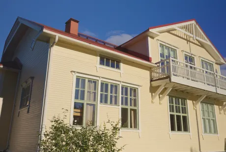 Ulkomaalaus 1